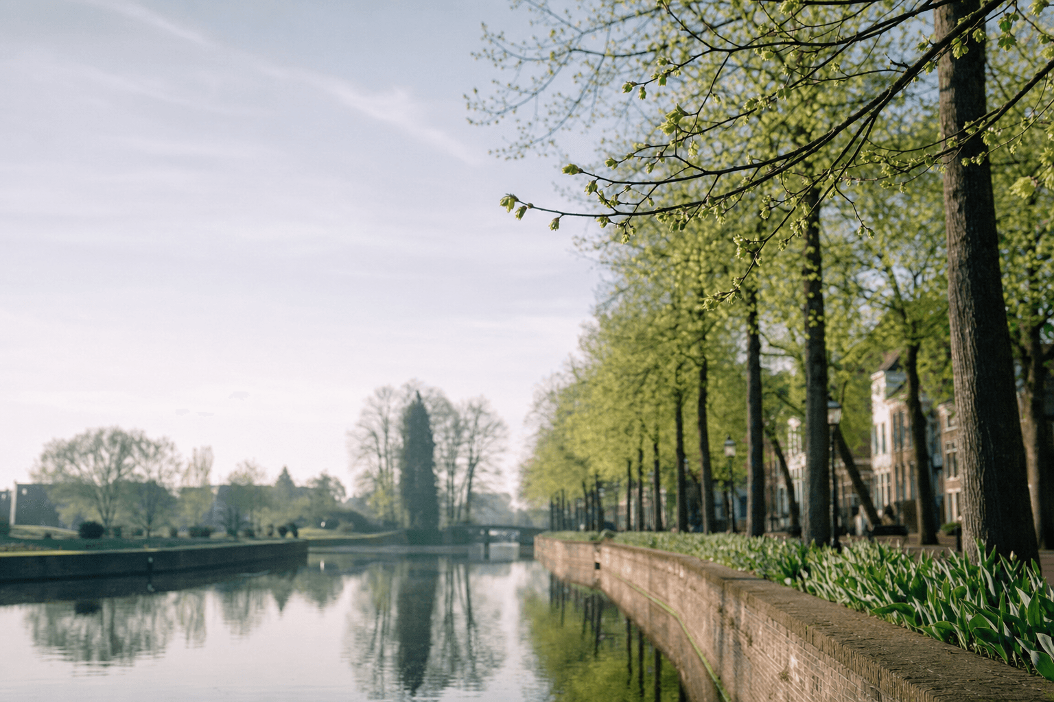 Vroege voorjaarssfeer langs een Nederlandse gracht, knoppen aan de bomen, zacht ochtendlicht