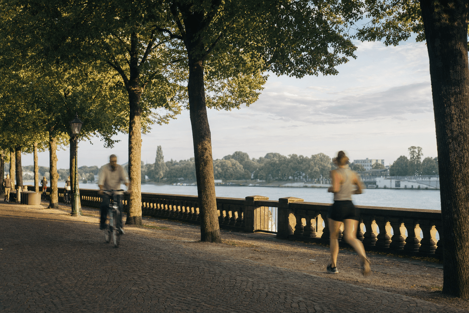 Groene laan langs de kade met volwassen bomen en wandelpad